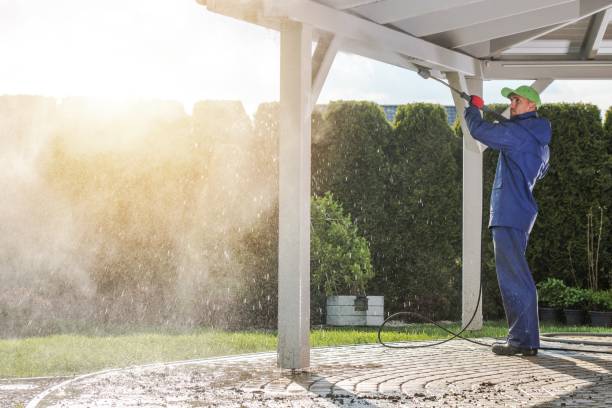 Best Soft Washing  in Schaumburg, IL